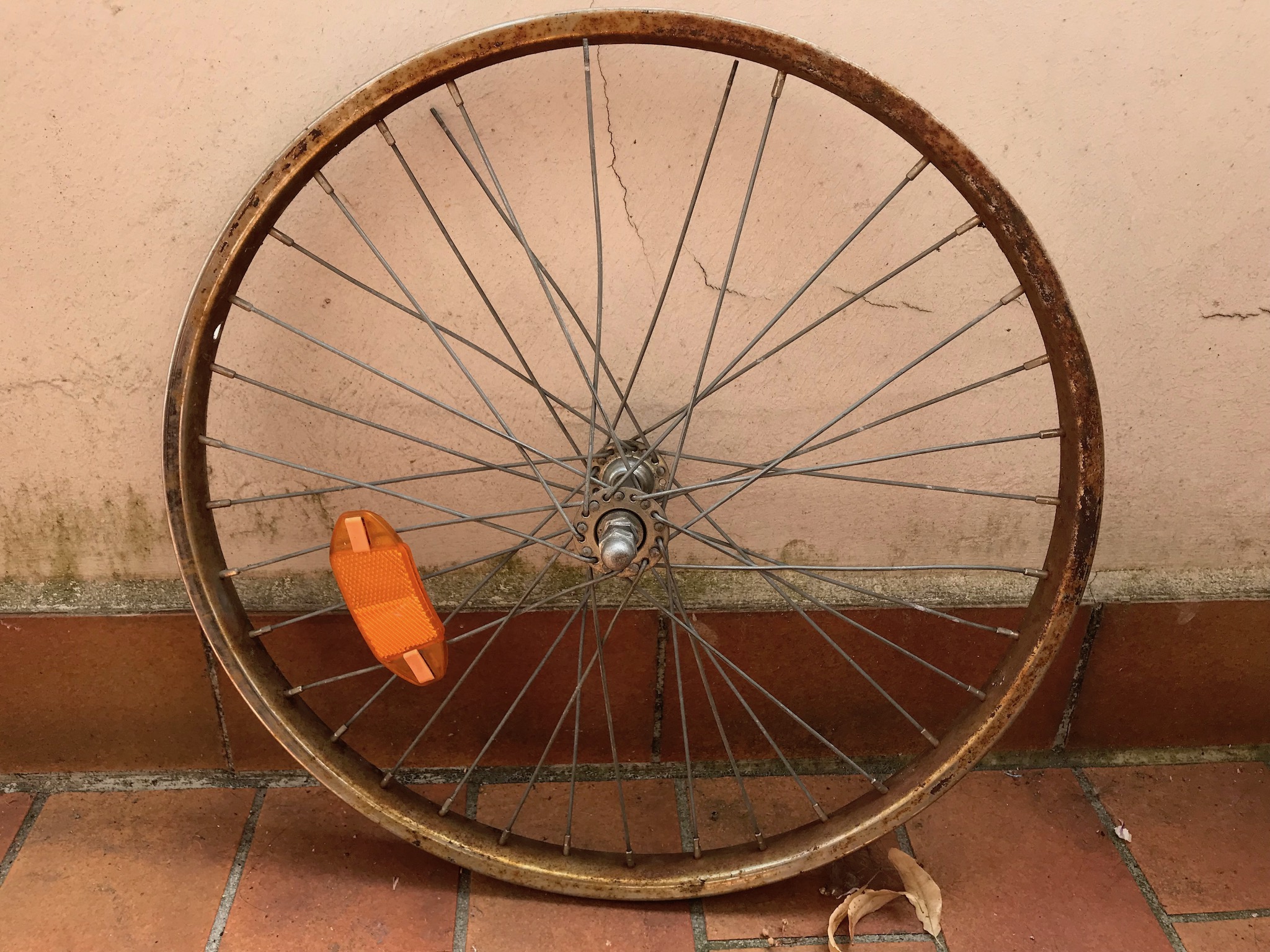 wheel_1